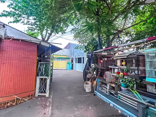 place photo 41