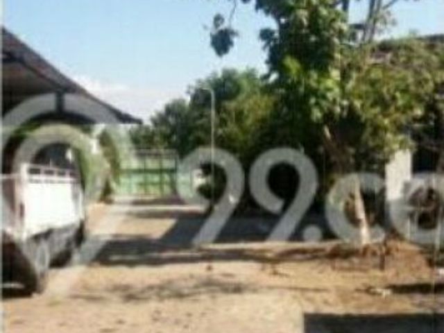place photo 8