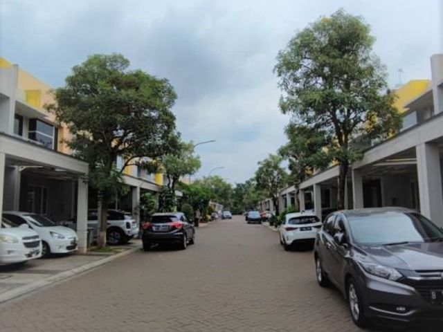 place photo 12