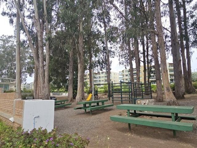 place photo 34