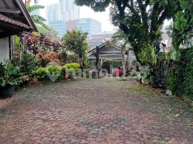 place photo 24