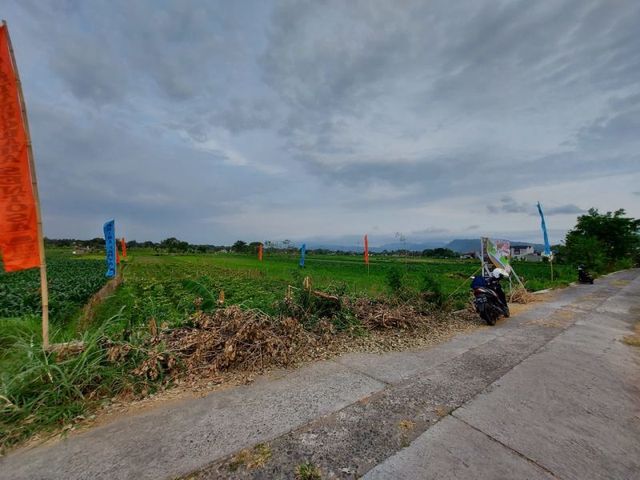 place photo 3