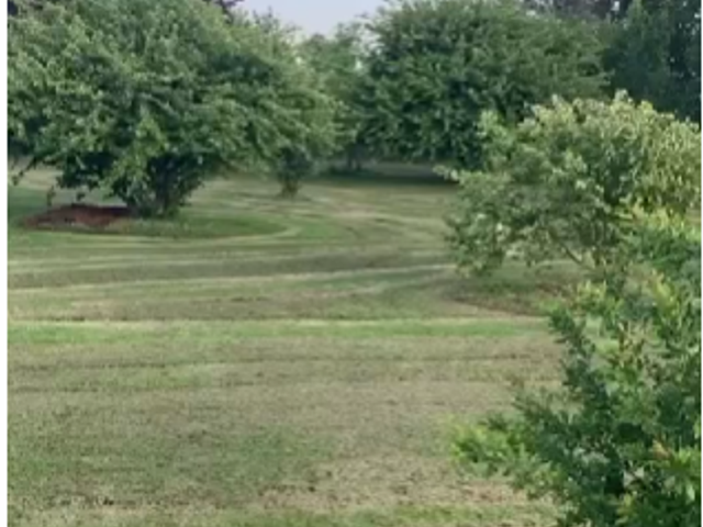 place photo 47
