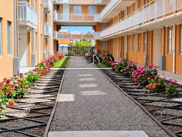 place photo 16