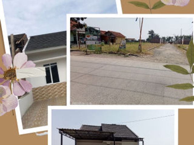 place photo 1