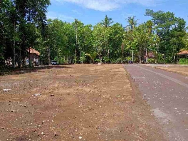 place photo 3