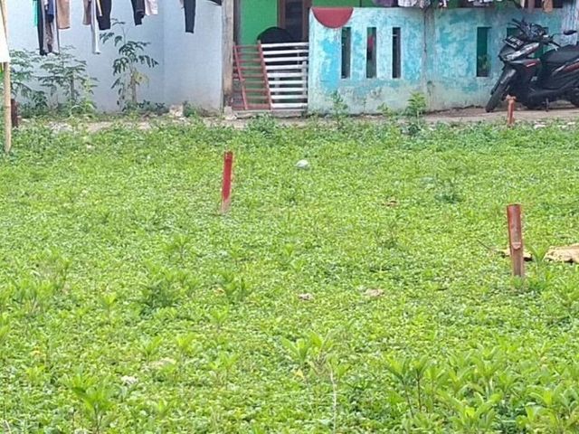 place photo 6