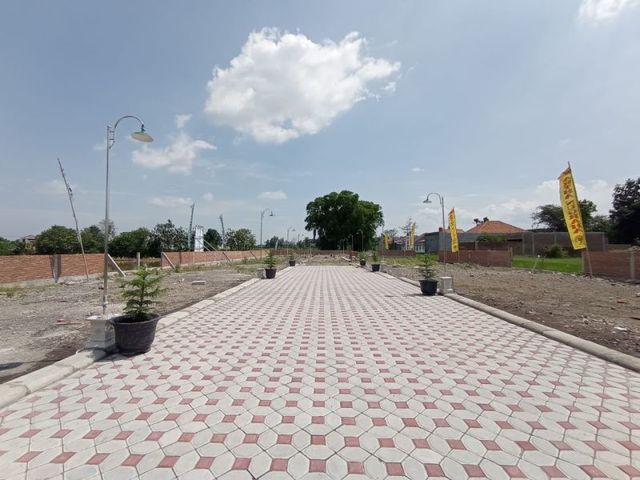 place photo 5