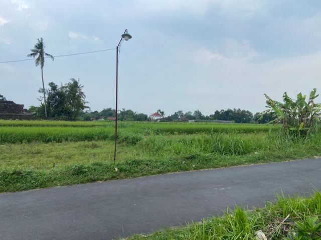 place photo 3