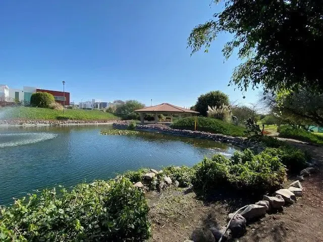 place photo 29