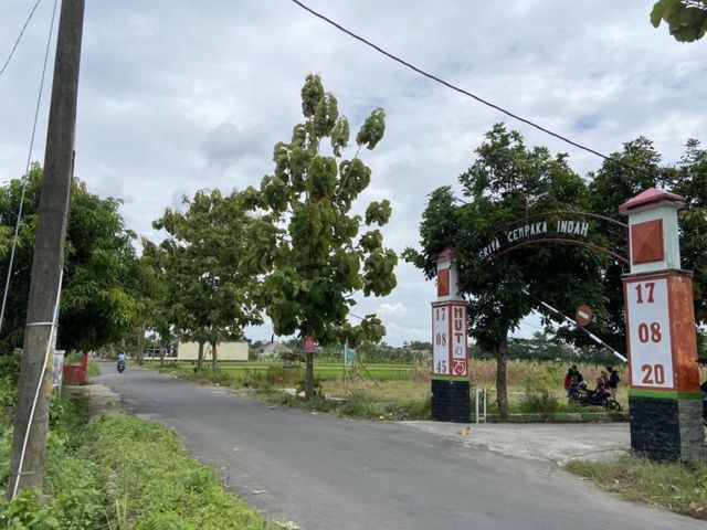 place photo 5