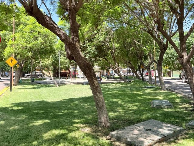 place photo 23