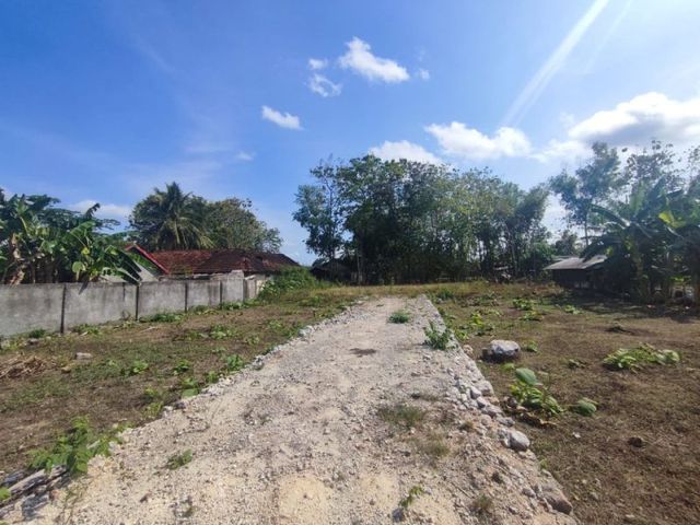 place photo 5