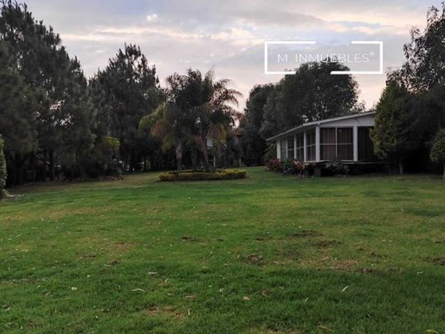 place photo 40
