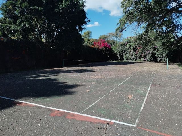 place photo 28
