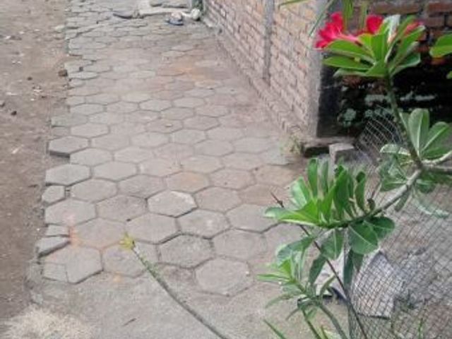 place photo 10
