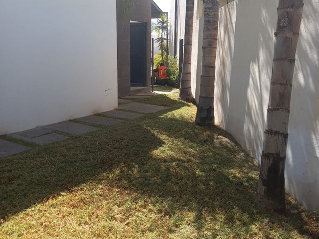 place photo 34