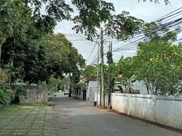 place photo 12
