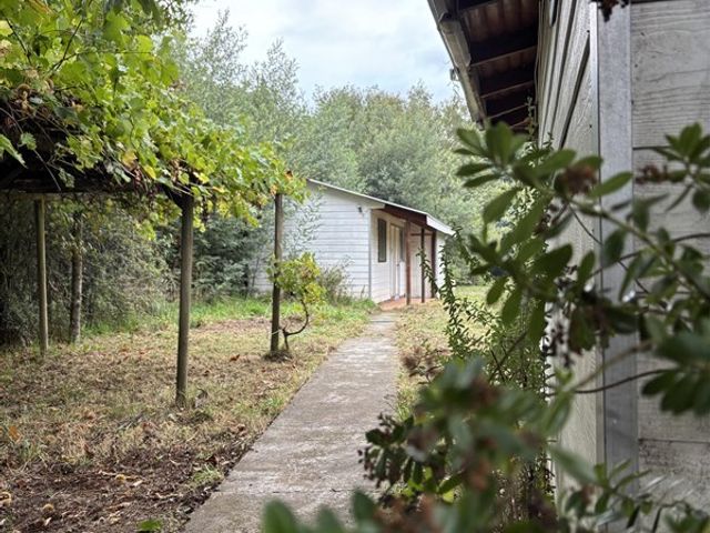 place photo 31