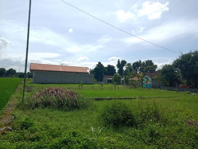 place photo 5