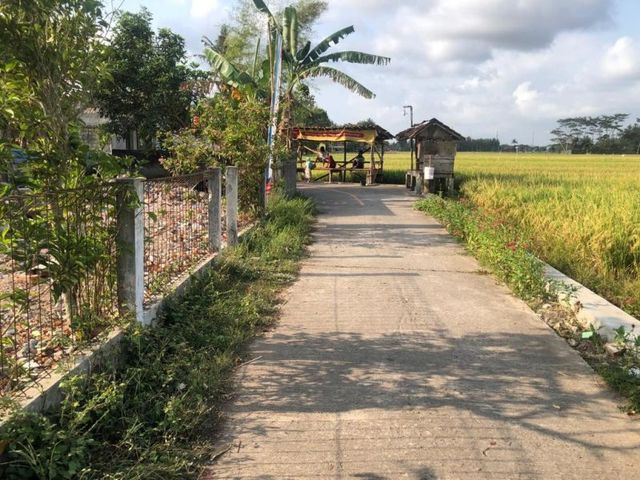 place photo 5