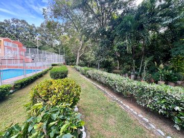 place photo 28