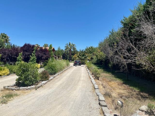 place photo 40