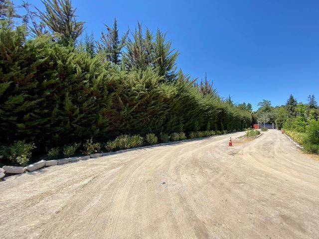 place photo 45