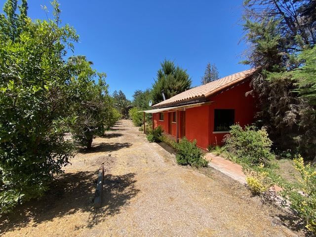 place photo 41
