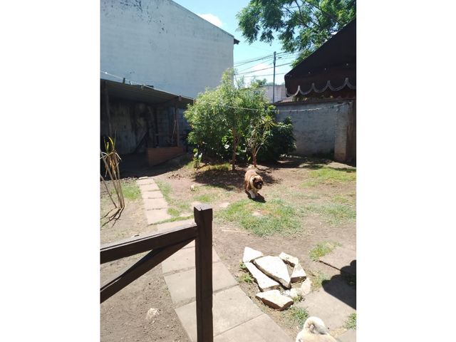 place photo 14