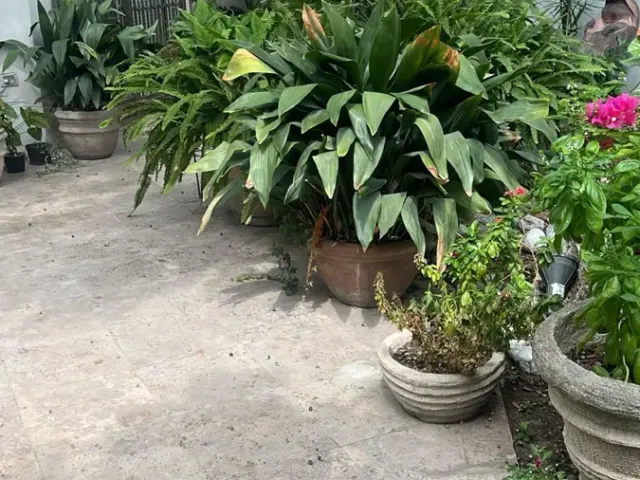 place photo 23