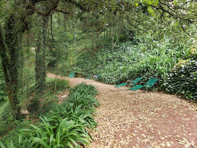 place photo 31