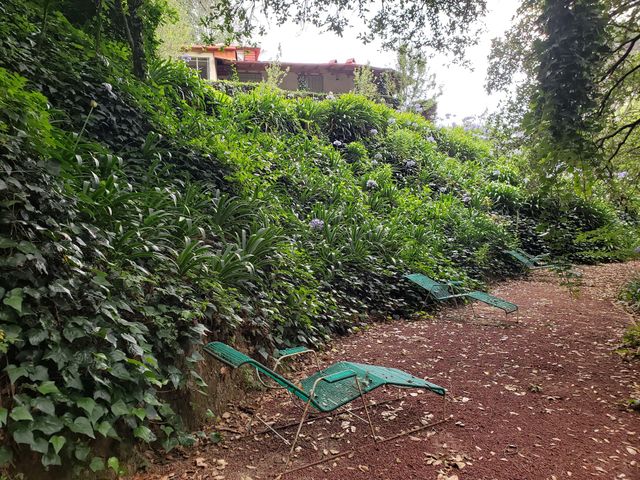 place photo 38