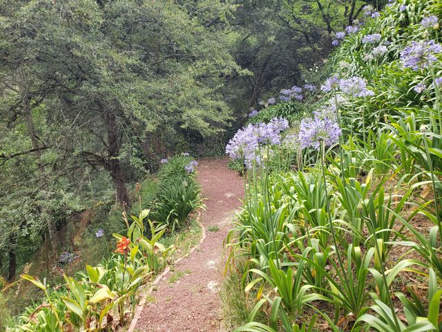 place photo 37
