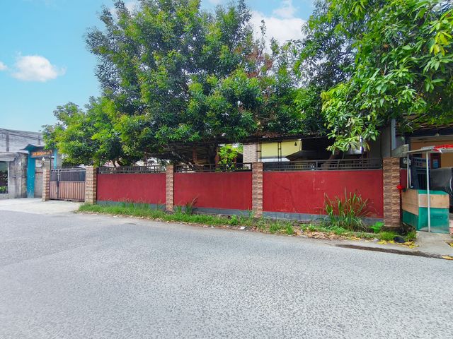 place photo 73