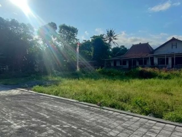 place photo 5