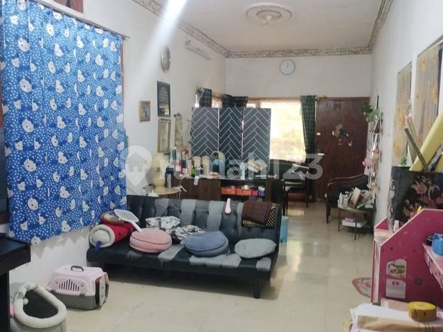 place photo 14