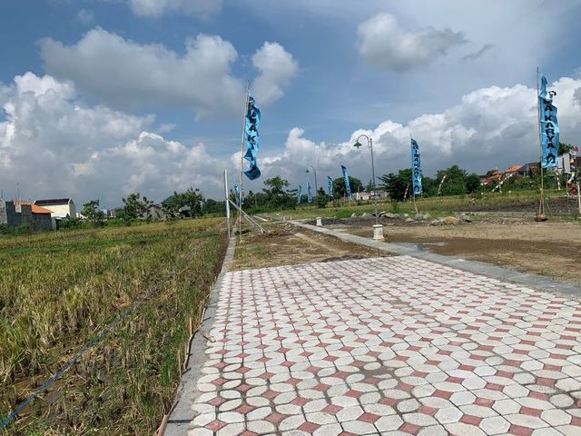 place photo 5