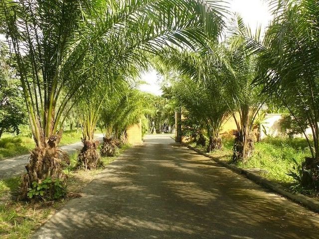 place photo 23