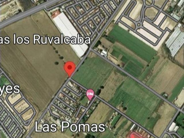 place photo 7