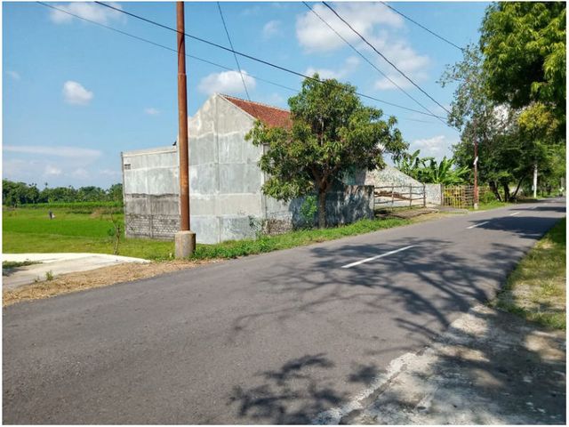 place photo 4