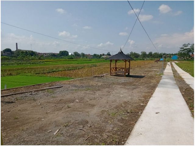 place photo 3