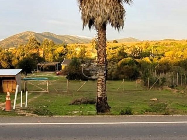 place photo 39