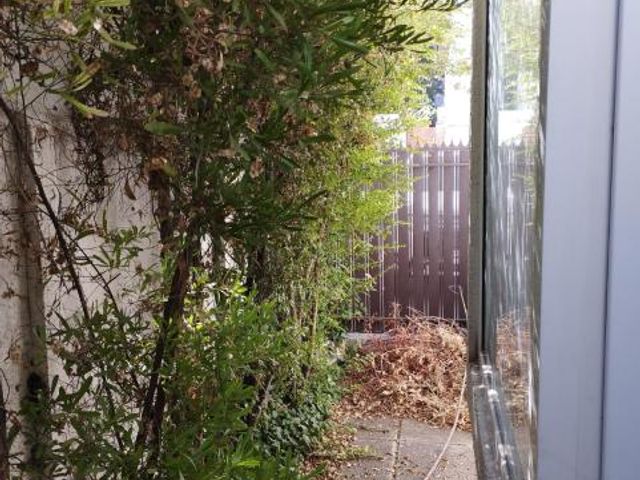 place photo 31