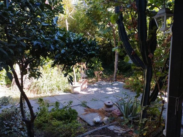 place photo 29