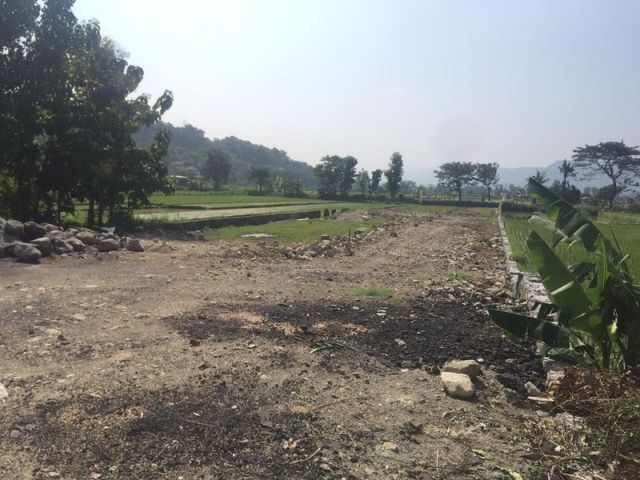 place photo 5