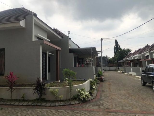 place photo 7