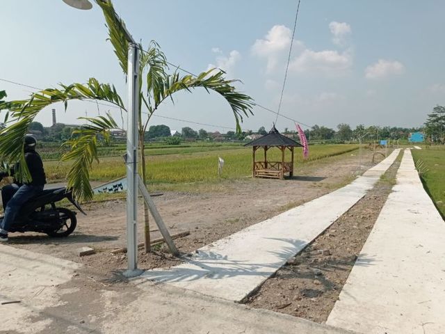 place photo 2