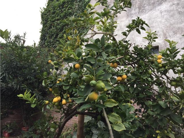 place photo 17