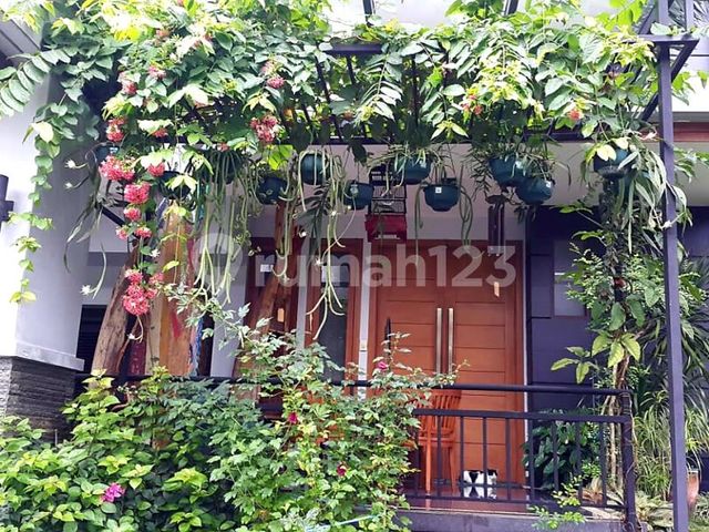 place photo 33